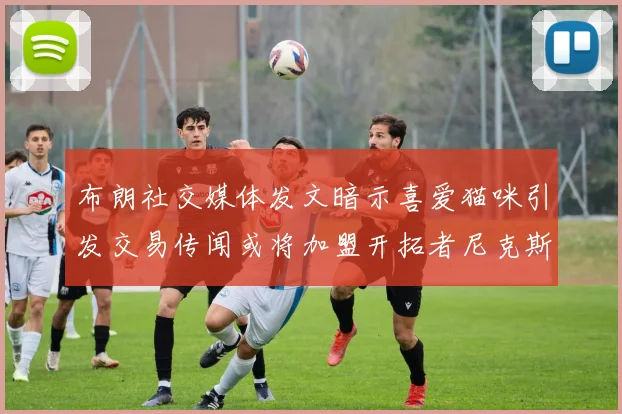 布朗社交媒体发文暗示喜爱猫咪引发交易传闻或将加盟开拓者尼克斯雷霆湖人